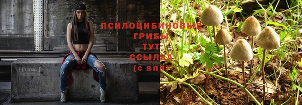 стаф Тольятти