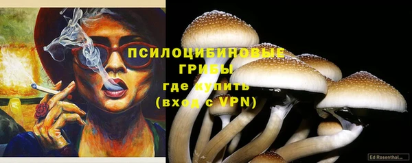 мдпв Куйбышев